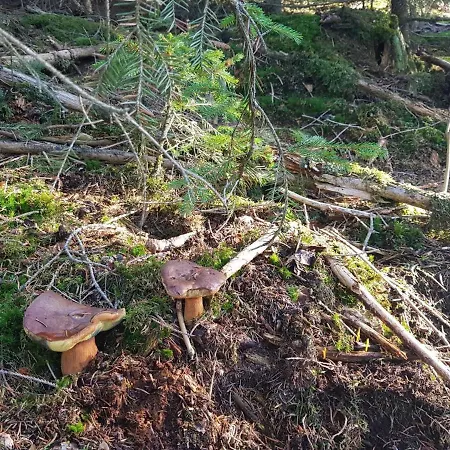 Deluxe, Inklusive Wlan, Parkplatz Und Netflix Διαμέρισμα *