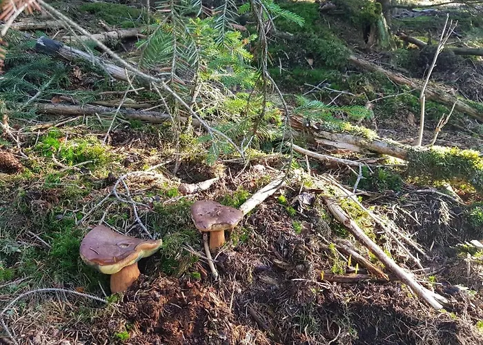 Deluxe, Inklusive Wlan, Parkplatz Und Netflix Apartmán *